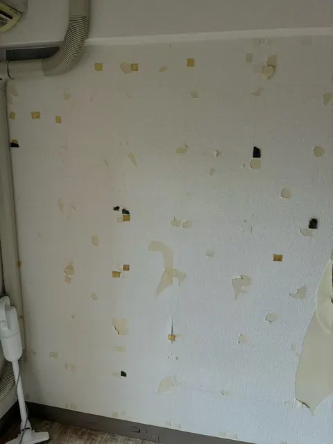 防音材を剥がしたあと、大小の剥がれや四角い跡が壁面全体に点在する状態