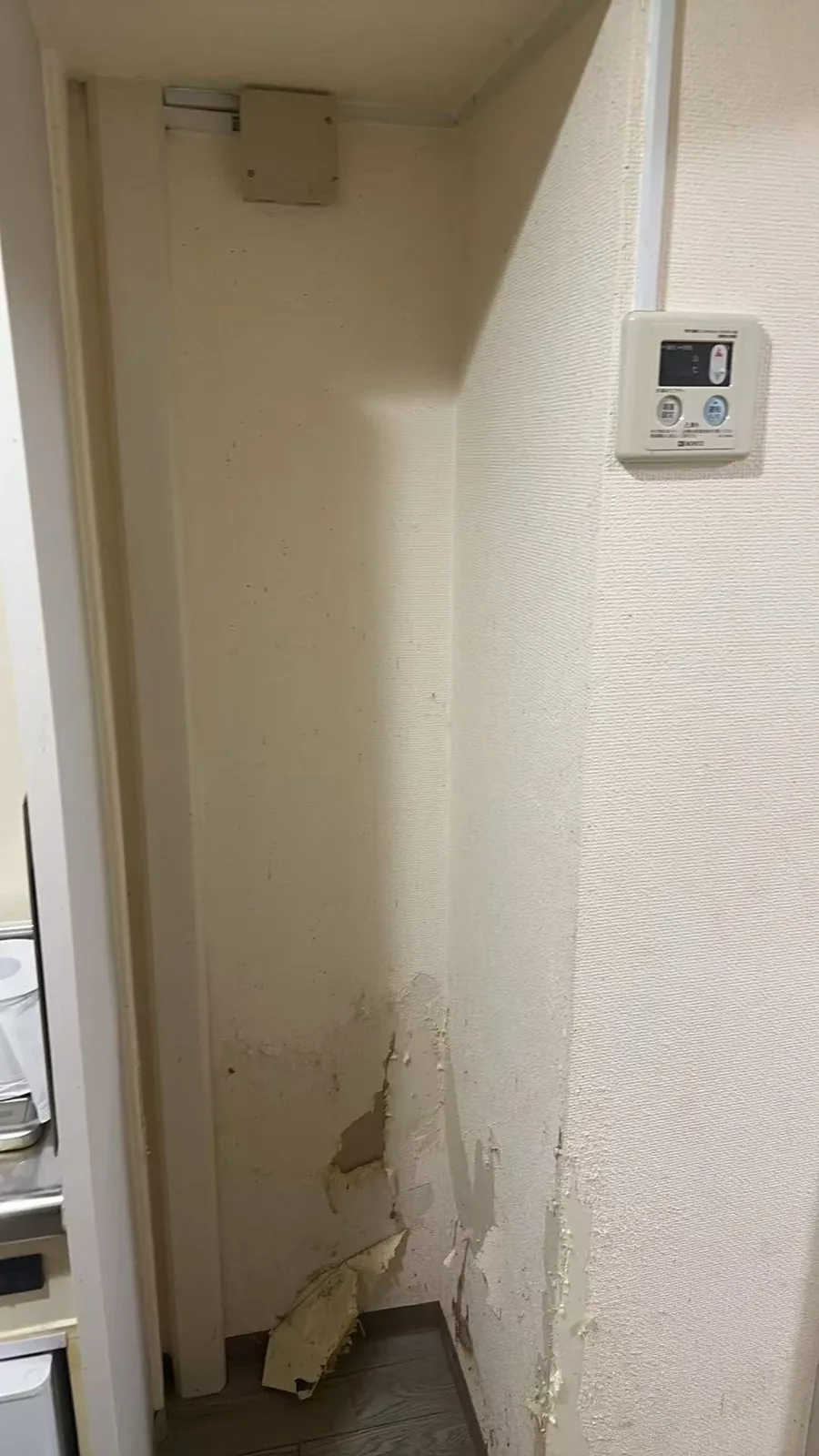 壁面下部でクロスが大きく剥がれた状態